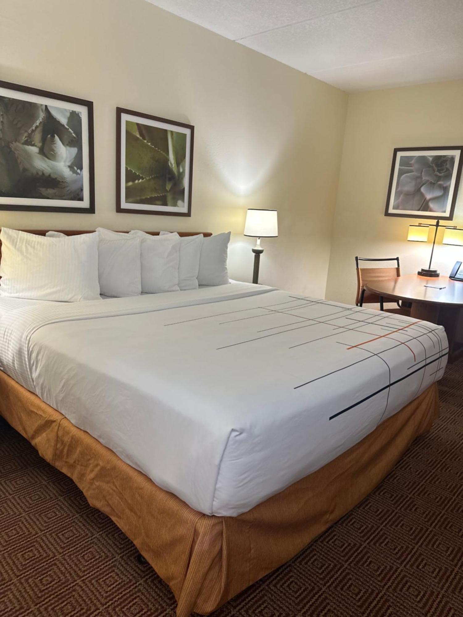 La Quinta Inn & Suites By Wyndham Sawgrass Sunrise Bagian luar foto